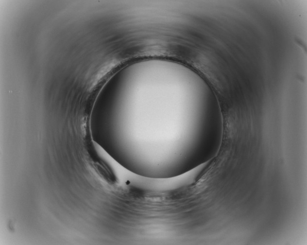 X0000099520160200805151534