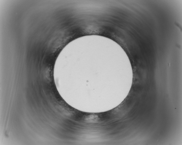 X0000099520162200805151534