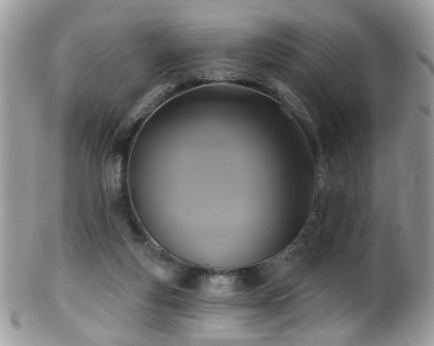 X0000099520163200805151534