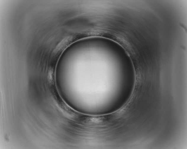 X0000099520166200805151534