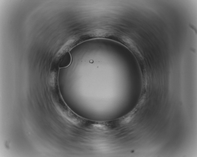 X0000099520167200805151534