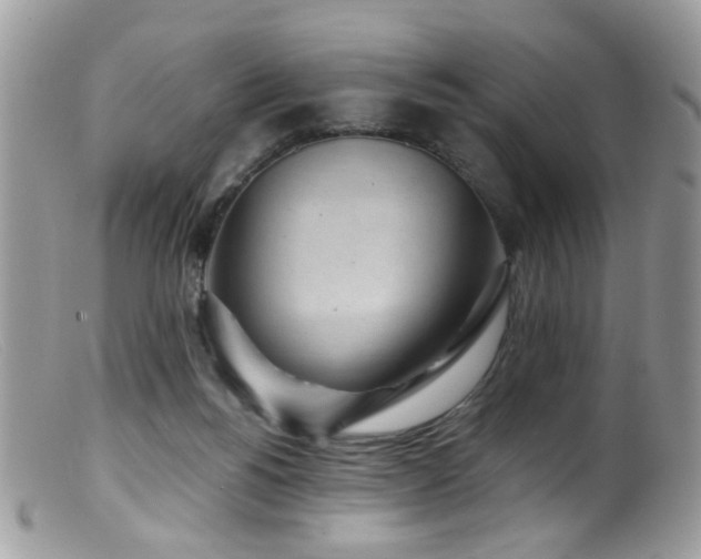 X0000099520168200805151534