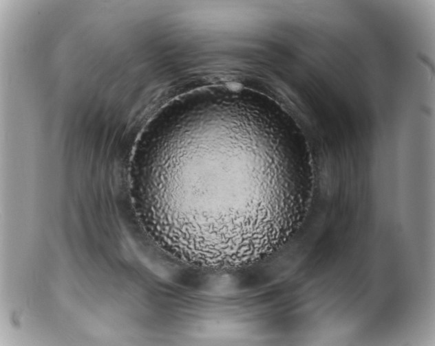 X0000099520169200805151534