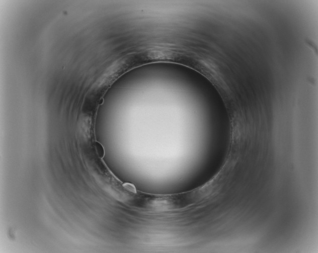 X0000099520171200805151534
