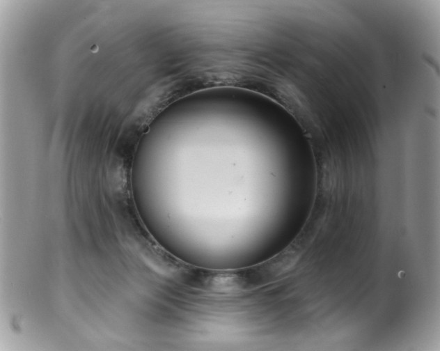 X0000099520173200805151534