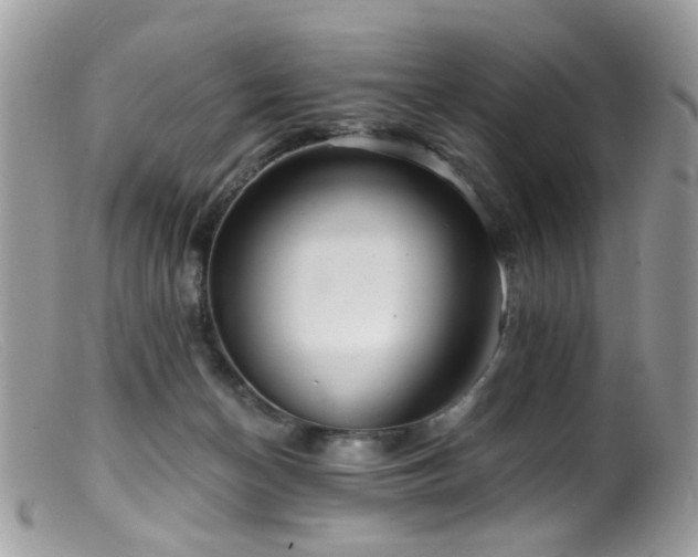 X0000099520174200805151534