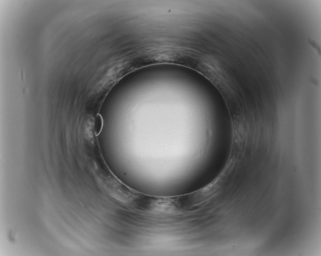 X0000099520175200805151534