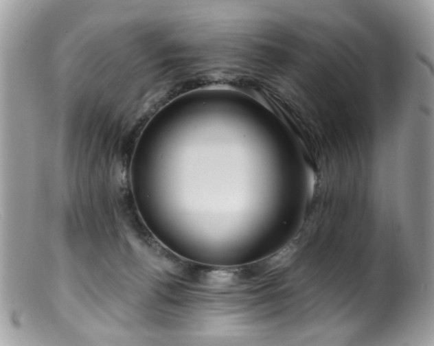 X0000099520176200805151534