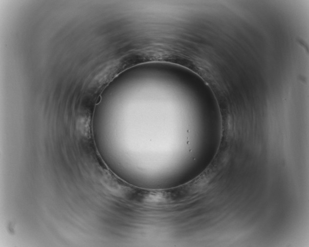 X0000099520177200805151534