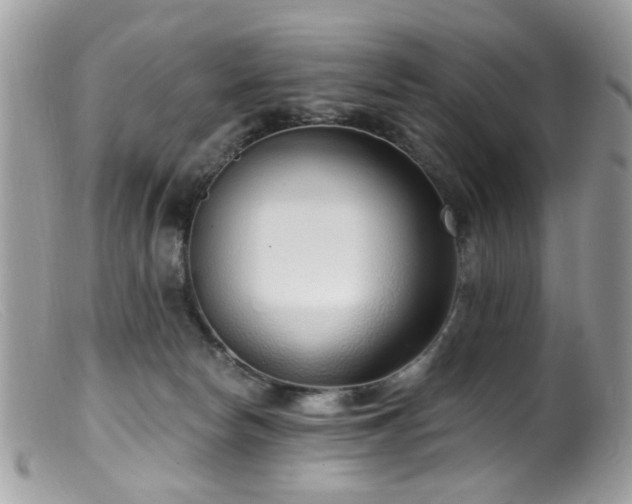 X0000099520178200805151534