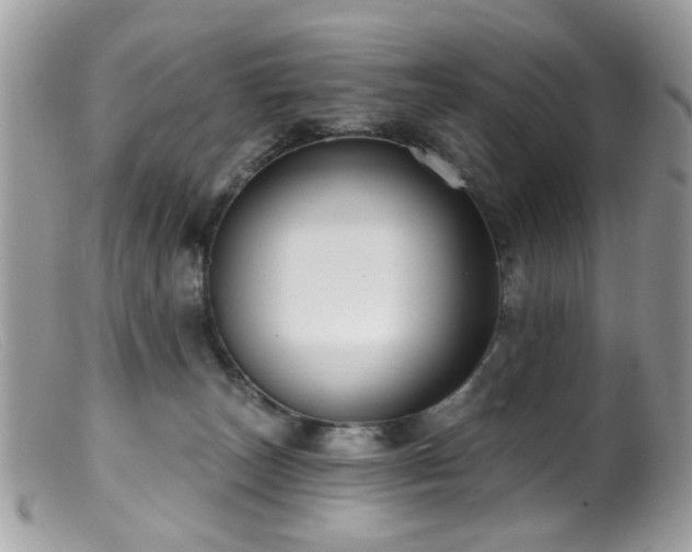 X0000099520179200805151534