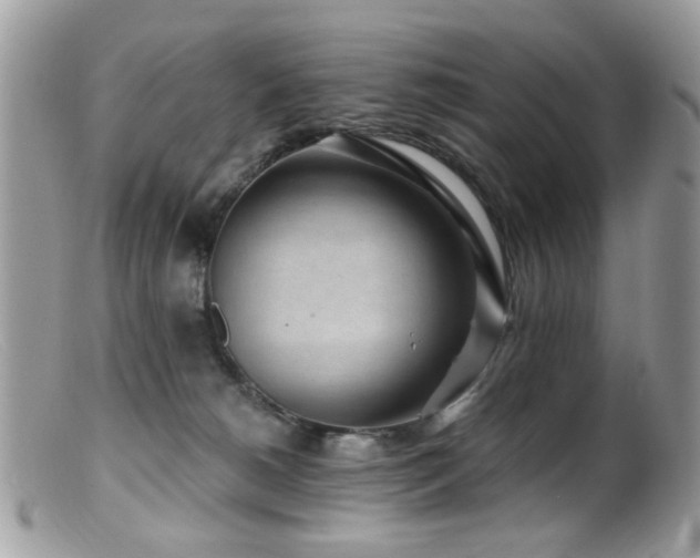 X0000099520180200805151534