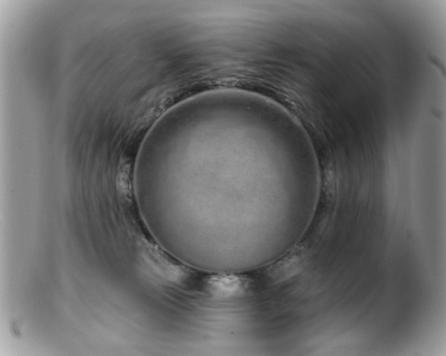 X0000099520181200805151534
