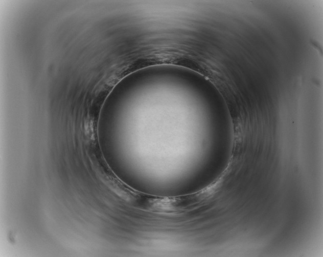 X0000099520182200805151534