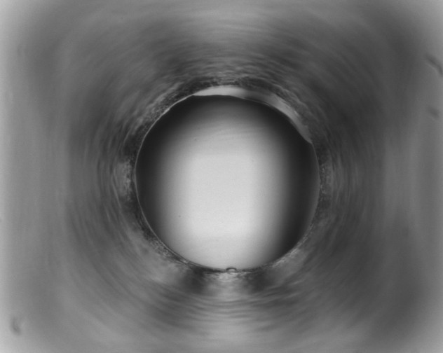 X0000099520184200805151534