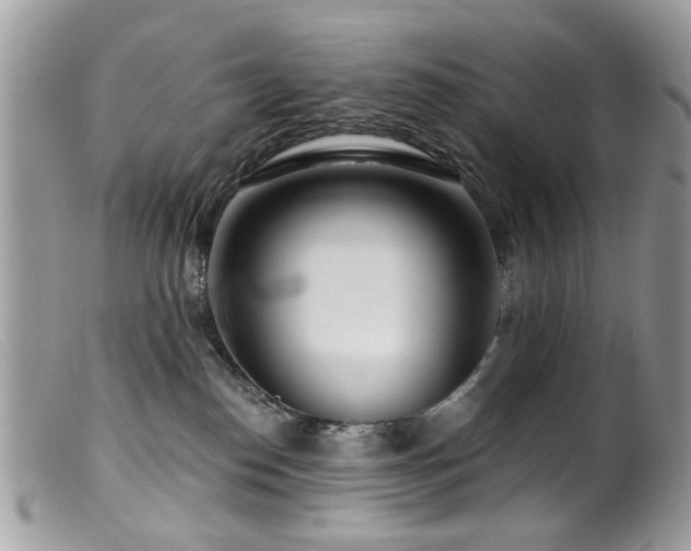 X0000099520186200805151534