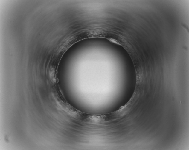 X0000099520187200805151534