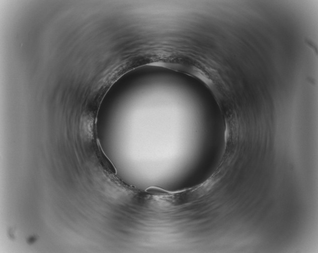 X0000099520188200805151534