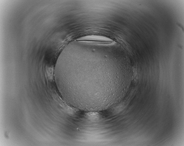 X0000099520189200805151534