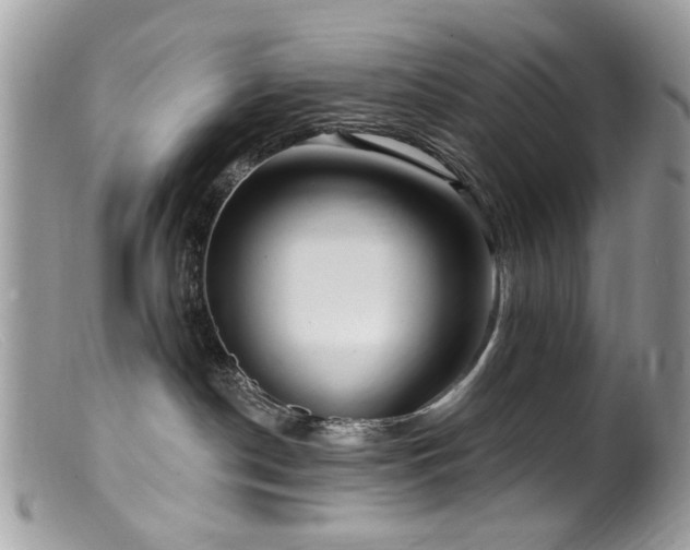 X0000099520190200805151534