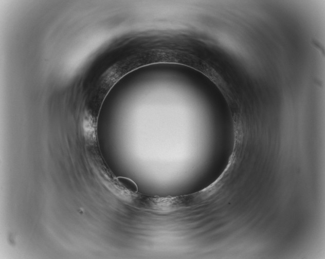 X0000099520191200805151534