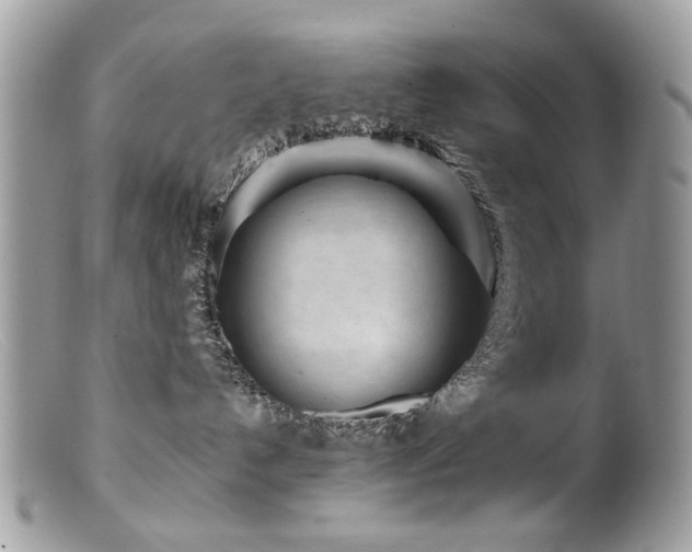 X0000099520192200805151534