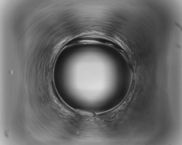 X0000099520193200805151534