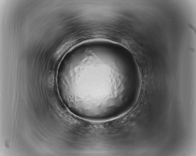 X0000099520194200805151534