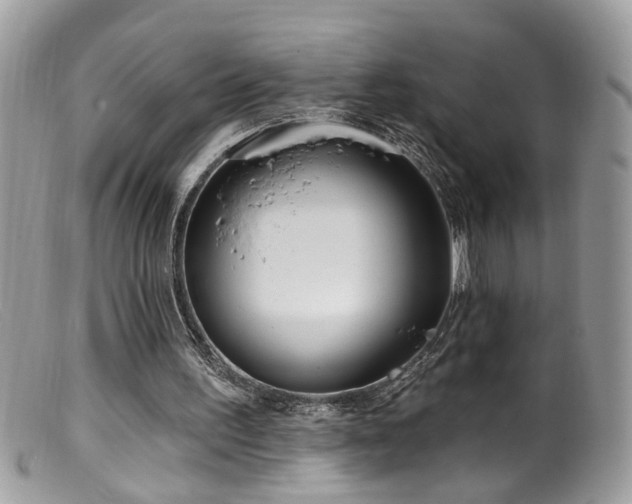 X0000099520195200805151534