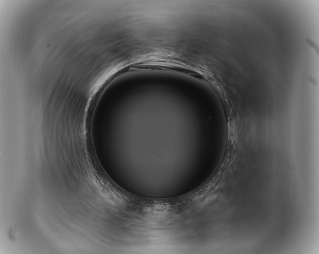 X0000099520196200805151534