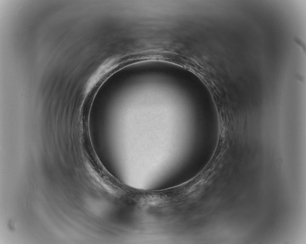 X0000099520198200805151534