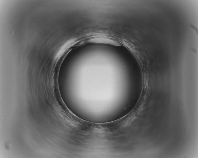 X0000099520199200805151534