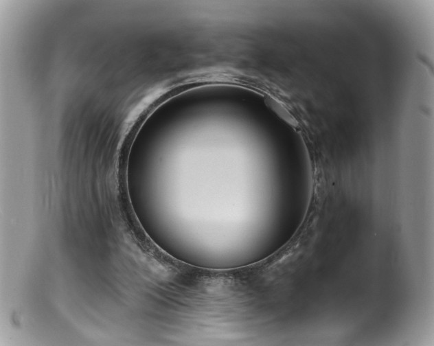 X0000099520200200805151533