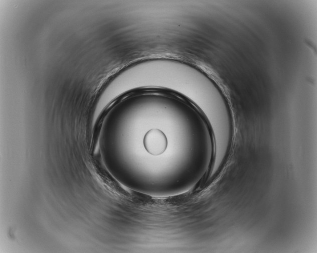X0000099520201200805151533