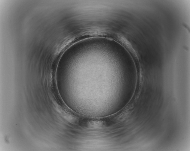 X0000099520202200805151533