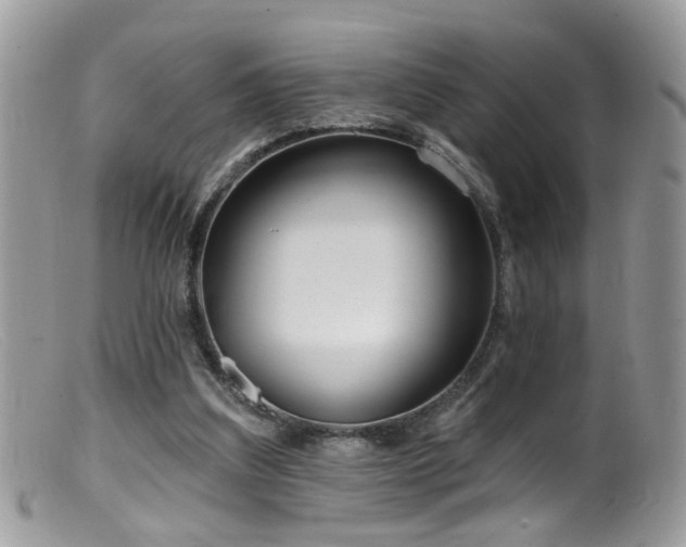 X0000099520203200805151533