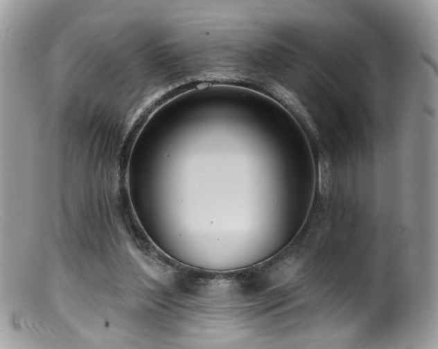 X0000099520204200805151533