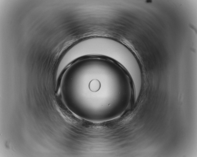 X0000099520205200805151533