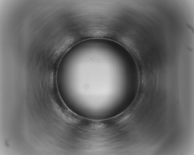 X0000099520206200805151533