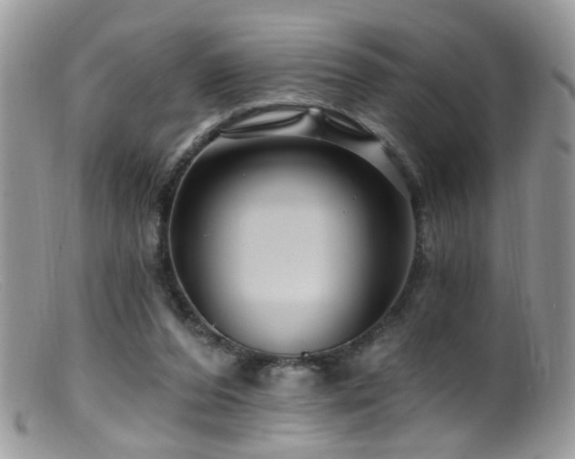 X0000099520208200805151533