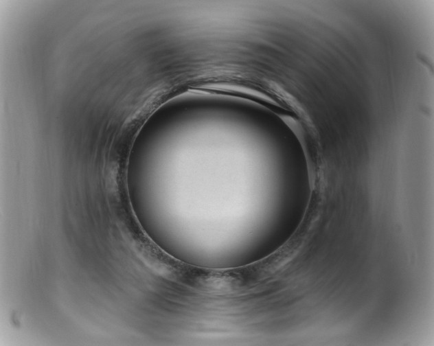 X0000099520209200805151533