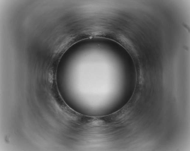 X0000099520210200805151533