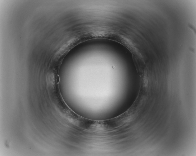 X0000099520211200805151533