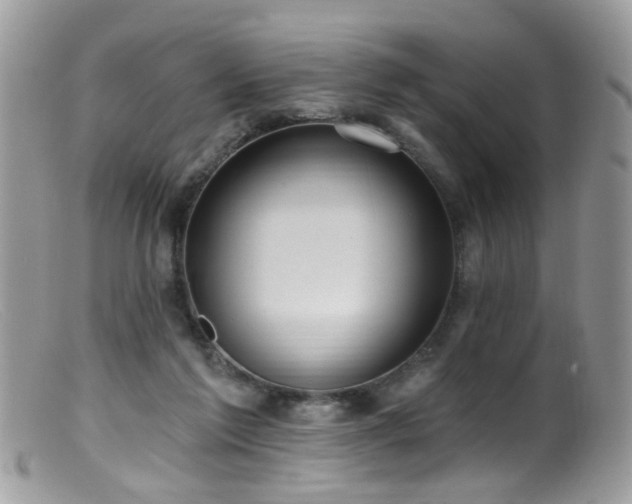 X0000099520213200805151533