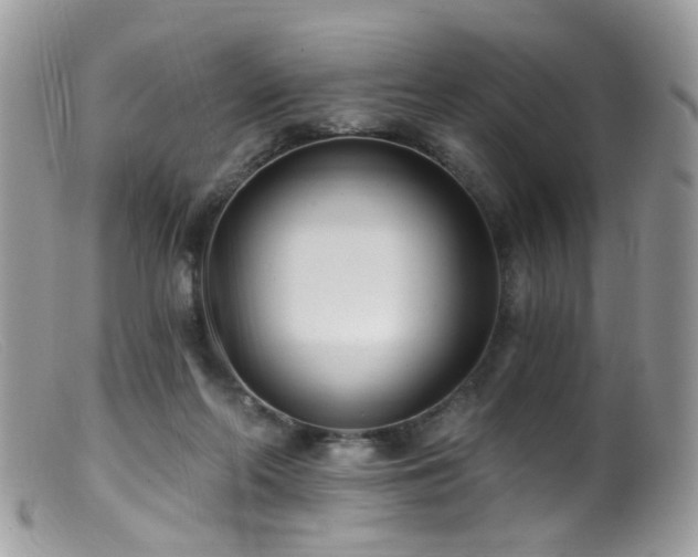 X0000099520214200805151533