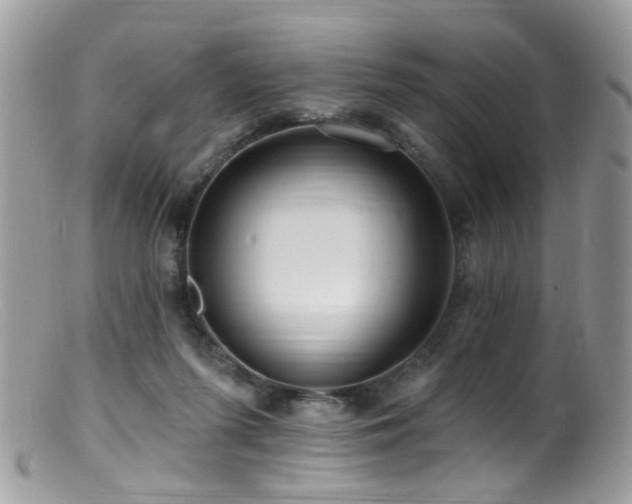 X0000099520215200805151533