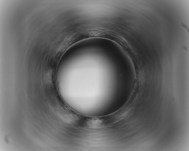 X0000099520217200805151533