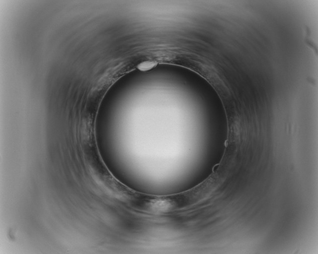 X0000099520218200805151533