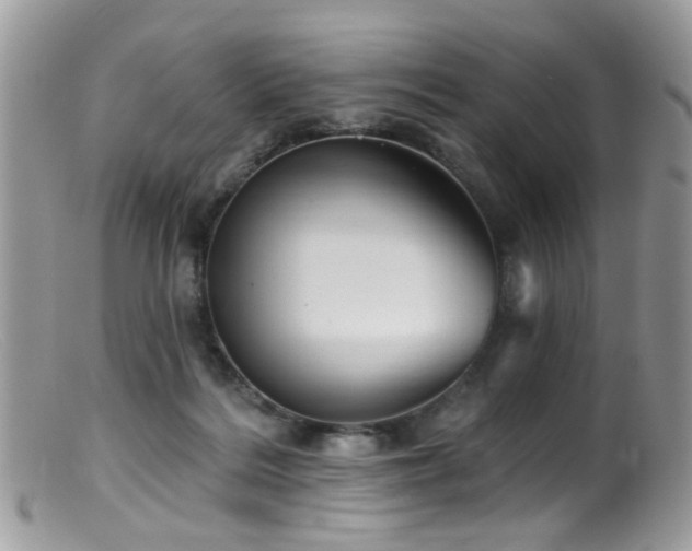 X0000099520220200805151533