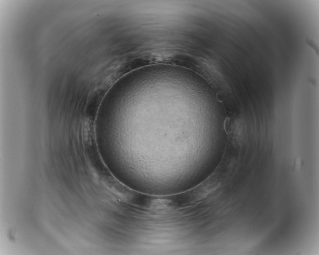 X0000099520222200805151533